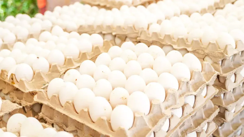 Gobierno dispone venta de cartones de huevos a 100 pesos este jueves en 76 supermercados a nivel nacional