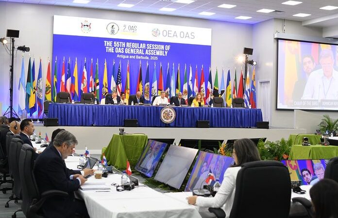 La seguridad como eje central de la X Cumbre de las Américas, según el canciller Roberto Álvarez