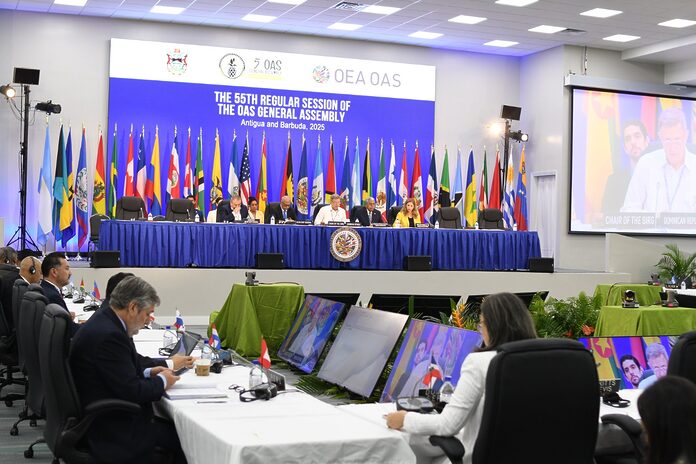 La seguridad como eje central de la X Cumbre de las Américas, según el canciller Roberto Álvarez
