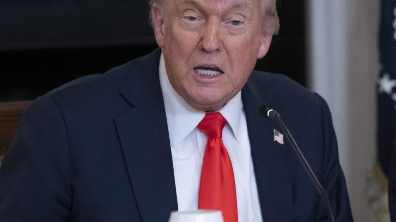 El Gobierno de Trump Suspende Redadas Indiscriminadas Contra Migrantes
