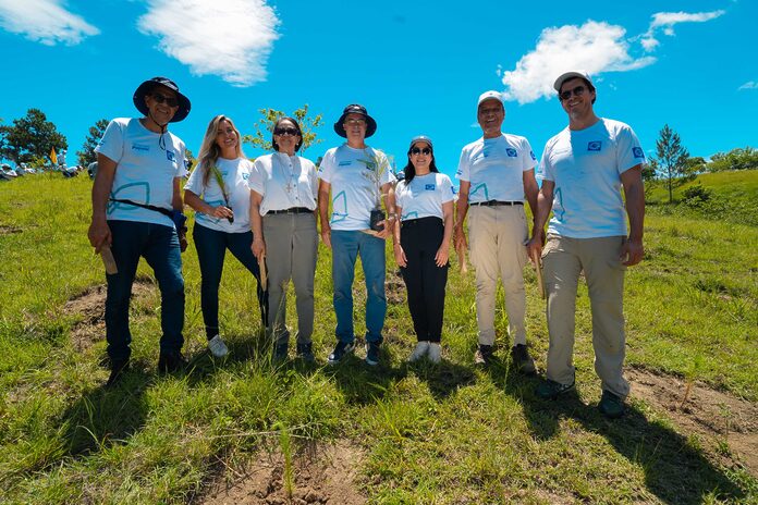 Grupo Popular lleva a cabo siembra de 5,000 árboles en Plan Sierra