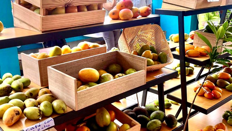 Raquel Peña se reúne con productores de mango en Peravia para fortalecer el sector agropecuario