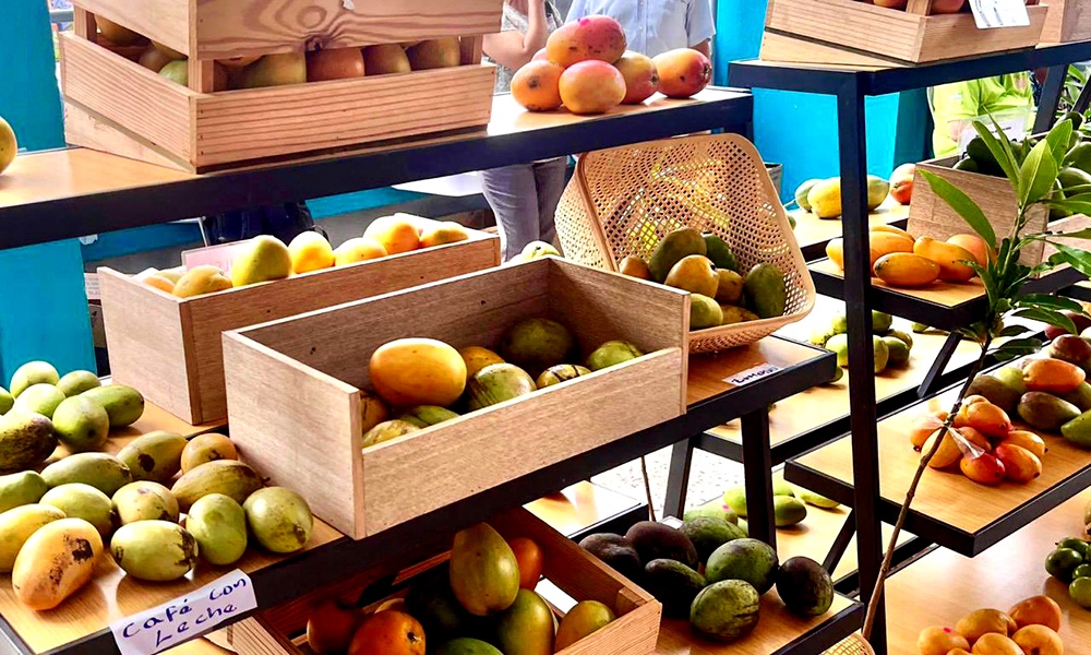 Raquel Peña se reúne con productores de mango en Peravia para fortalecer el sector agropecuario