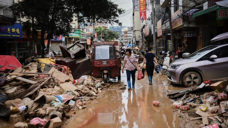 China implementa medidas para combatir brote de chikungunya